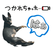 842073904