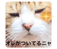 842074150