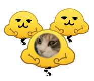 842074160
