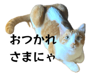 842074175