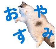 842074462