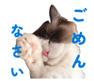 842074465