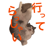842074470