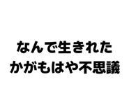 842074567