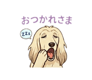 842074813