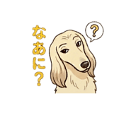 842074815