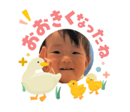842075341