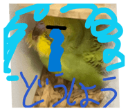 842075355