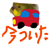 842075356