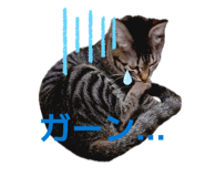 842075401
