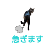 842075407