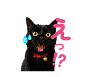 842075540