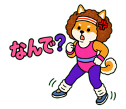 842075702
