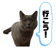 842076012