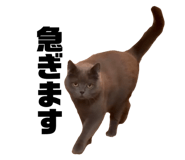 842076018