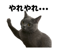 842076022