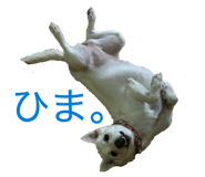 842076279