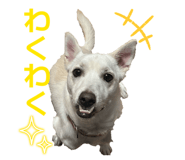842076288
