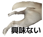 842076289