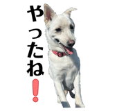 842076294