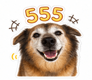 842077986