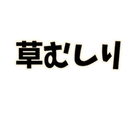 842078043