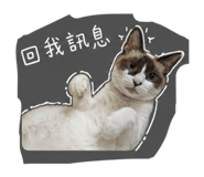 842080691