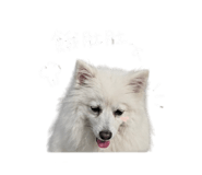 842081097
