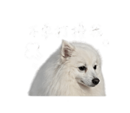 842081101