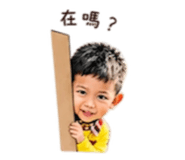 842081493