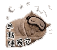 842081847