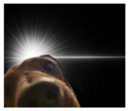 842081906
