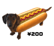 842081908