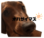 842081913