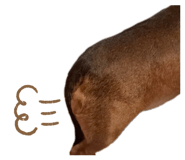 842081917