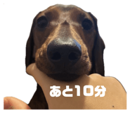 842081918