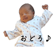 842082416