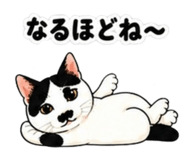 842082540
