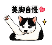 842082542