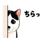 842082543