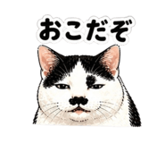 842082552