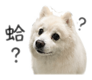 842083410