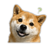 842083645