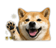 842083646