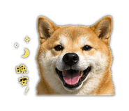 842083647