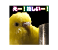 842083883