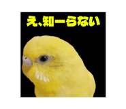 842083887