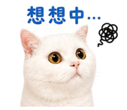 842084031