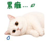 842084036
