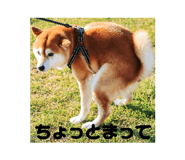 842084627